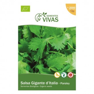 Salsa Gigante It�lia 2 G SEMENTES VIVAS