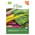 Alcega Rainbow Chard 3 G SEMENTES VIVAS Alcega Rainbow Chard 3 G SEMENTES VIVAS