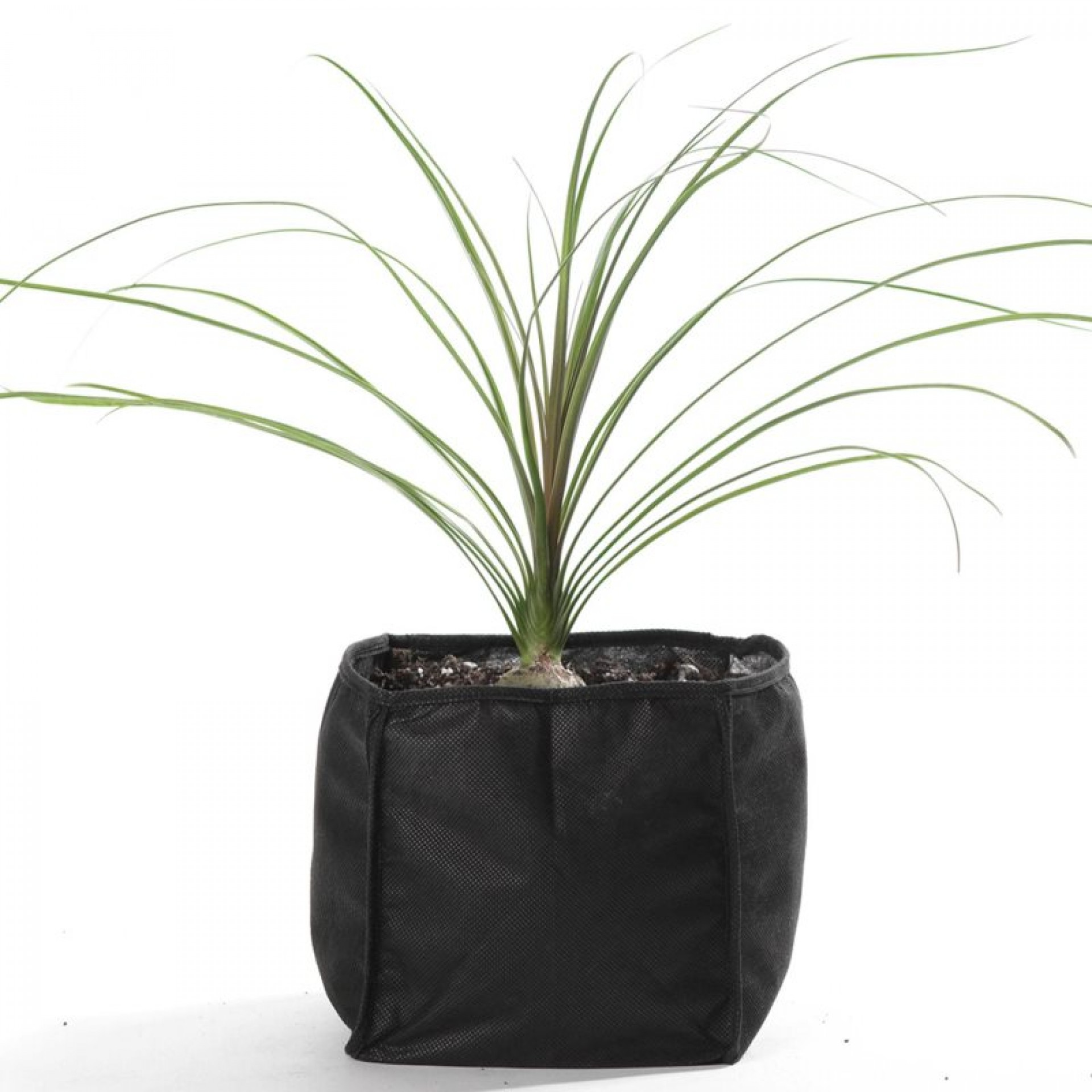 Acessório p/ Lagos Saco Plantação 25CM UBBINK