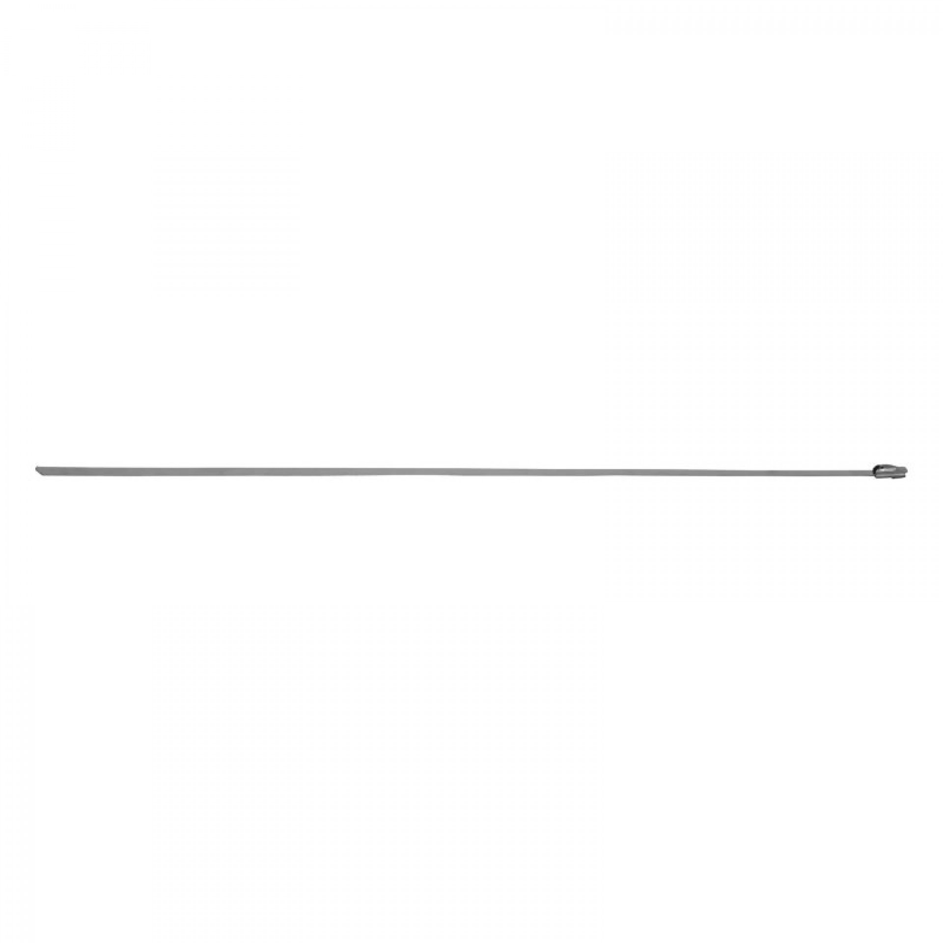 Abracadeira Fivela Inox 4,6X200Mm 25Un