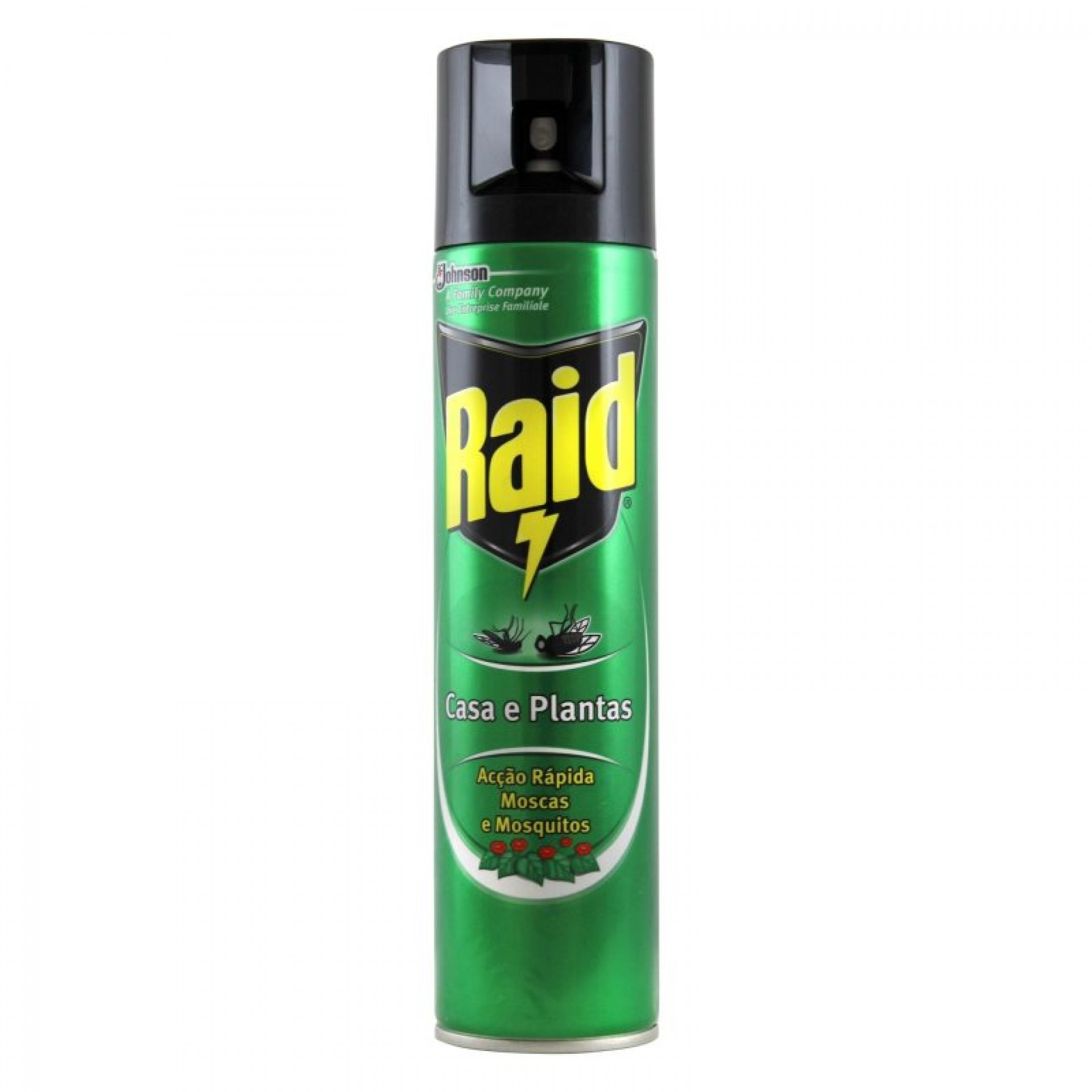 Inseticida Casa/Plantas 400 ML RAID