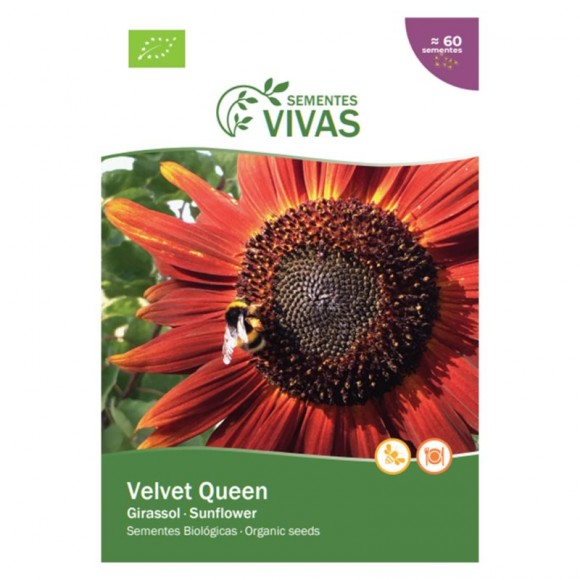Girassol Vermelho Bio 1 G SEMENTES VIVAS Girassol Vermelho Bio 1 G SEMENTES VIVAS