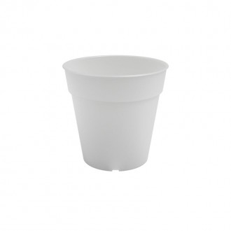 Vaso Orqu�dea Madag�scar 15 CM ARTEVASI