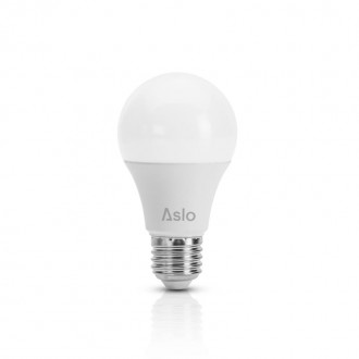 lampada led ma E27 10w 2700K