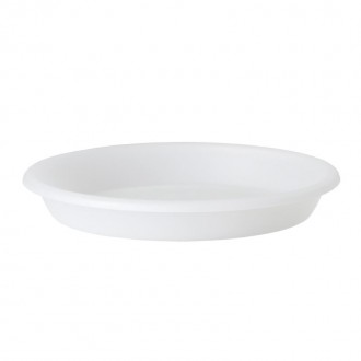 Prato Orqu�dea Transparente 13 CM ARTEVASI