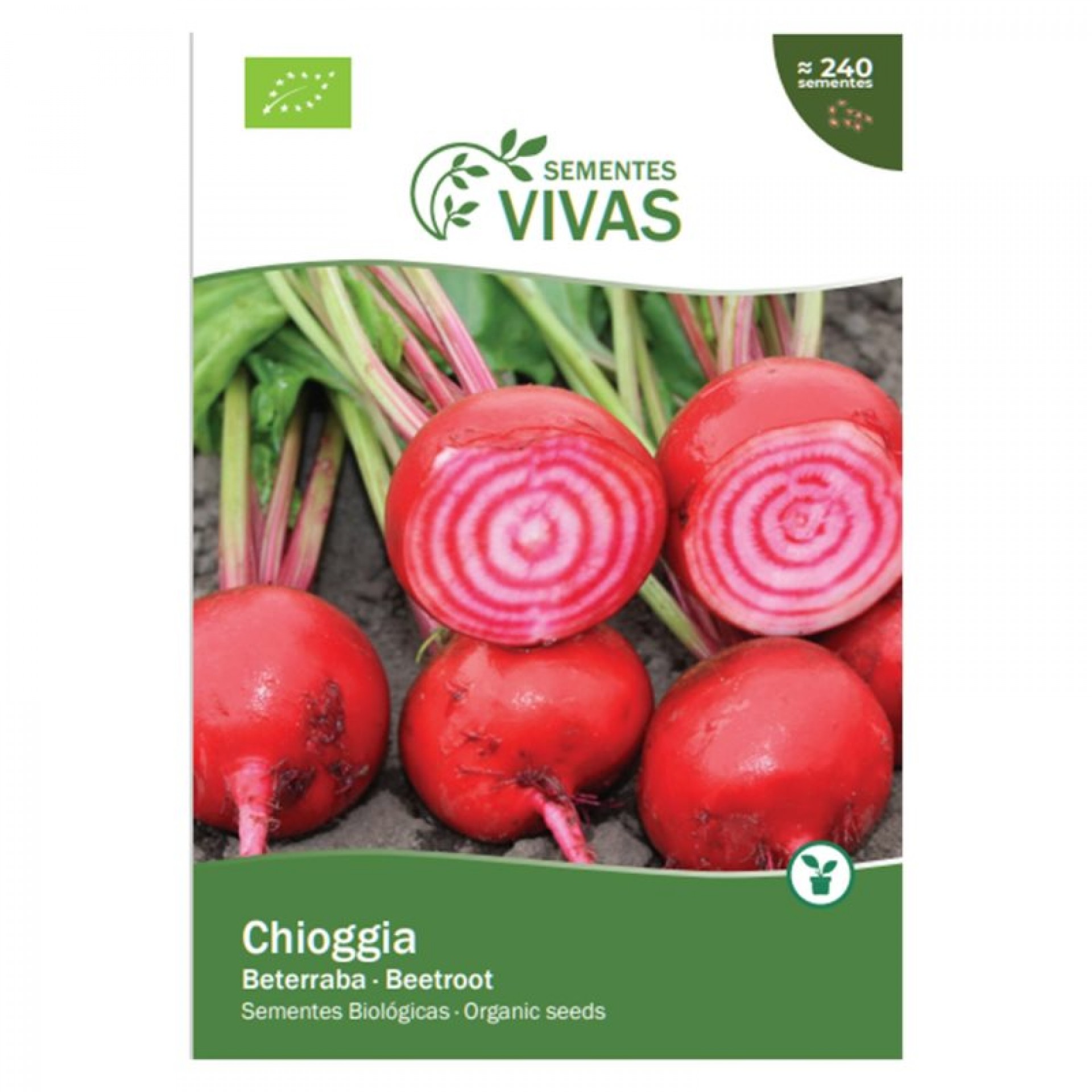 Beterraba Tonda Chioggia 3 G SEMENTES VIVAS