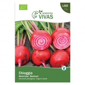 Beterraba Tonda Chioggia 3 G SEMENTES VIVAS