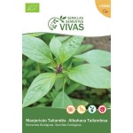 Manjericão da Tailândia 2 G SEMENTES VIVAS Manjericão da Tailândia 2 G SEMENTES VIVAS