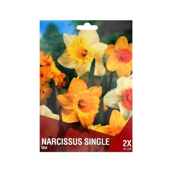 NARCISO SINGELO MIX 2 BOLBOS NARCISO SINGELO MIX 2 BOLBOS
