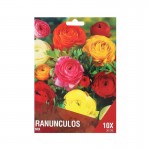 RANUNCULOS MIX 10 BOLBOS RANUNCULOS MIX 10 BOLBOS
