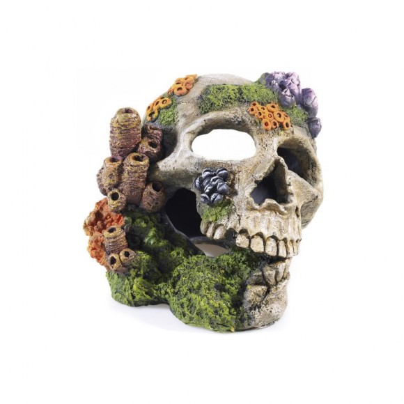 Decoração Skull 195X160X140Mm Decoração Skull 195X160X140Mm