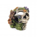 Decoração Skull 195X160X140Mm Decoração Skull 195X160X140Mm