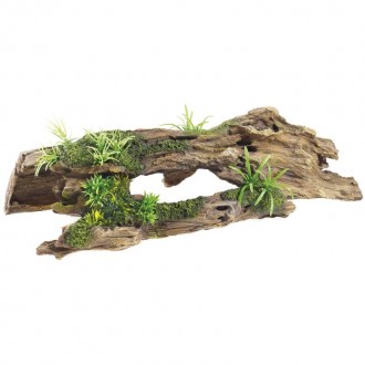 Decora��o Driftwood 370X175X105Mm