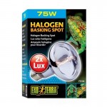Lampada Halogeneo Spot 75W Lampada Halogeneo Spot 75W