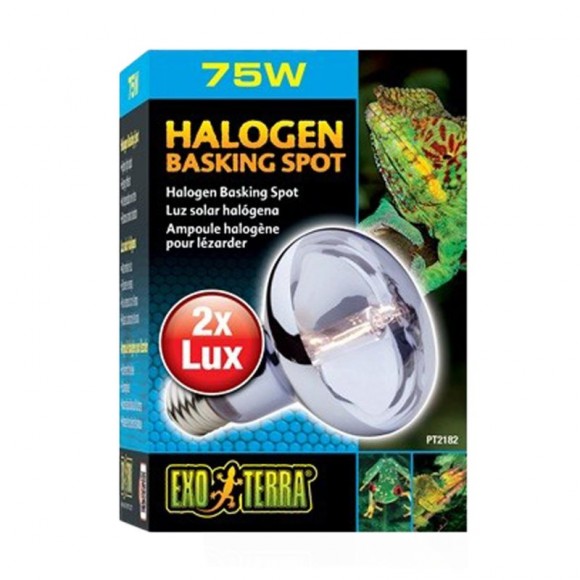 Lampada Halogeneo Spot 75W Lampada Halogeneo Spot 75W