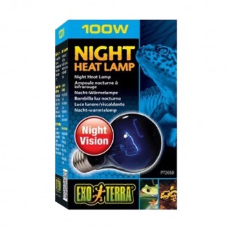 Lampada Nigth Heat 100W