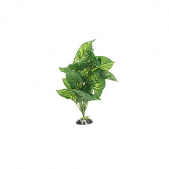 Pl Terrario Aluminum  30CM