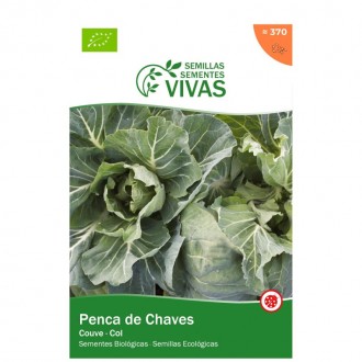 Couve Penca Chaves 1,5G SEMENTES VIVAS