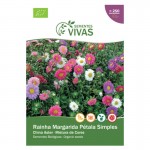 Aster Da China Single Mix 1 G SEMENTES VIVAS
