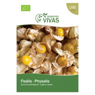 Fisalis 4 G SEMENTES VIVAS