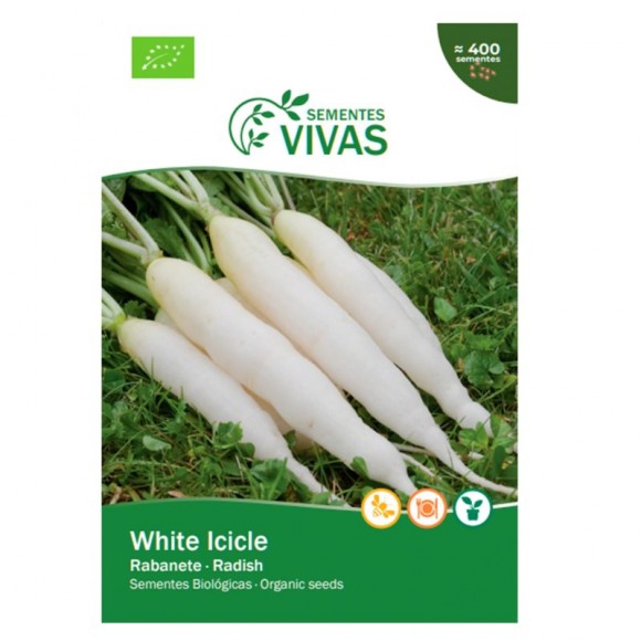 Rabanete White Icicle 7 G SEMENTES VIVAS Rabanete White Icicle 7 G SEMENTES VIVAS