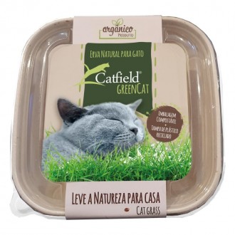 Erva Para Gato 80 G CATFIELD Erva Para Gato 80 G CATFIELD