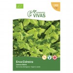 Erva-Cidreira Eira 2 G SEMENTES VIVAS