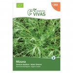 Verdura Asiatica Mizuna 2 G SEMENTES VIVAS Verdura Asiatica Mizuna 2 G SEMENTES VIVAS