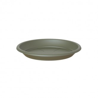 Prato Redondo Verde Seco 22 CM  ARTEVASI