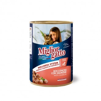 Alimento Húmido Gato Salmão 405 G MIGLIORGATTO Alimento Húmido Gato Salmão 405 G MIGLIORGATTO
