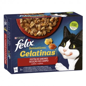 Alimento H�mido Gato Sensat Carnes 12X85 G FELIX