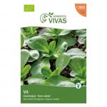 Canonigos 2 G SEMENTES VIVAS Canonigos 2 G SEMENTES VIVAS