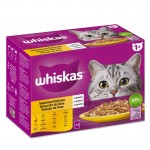 Alimento Húmido Paragato 1+ Aves 12X85 G WHISKAS Alimento Húmido Paragato 1+ Aves 12X85 G WHISKAS
