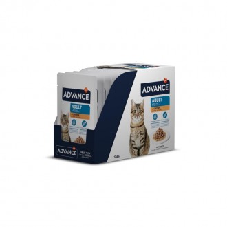 Alimento H�mido Gato Adulto Frango 85 G ADVANCE