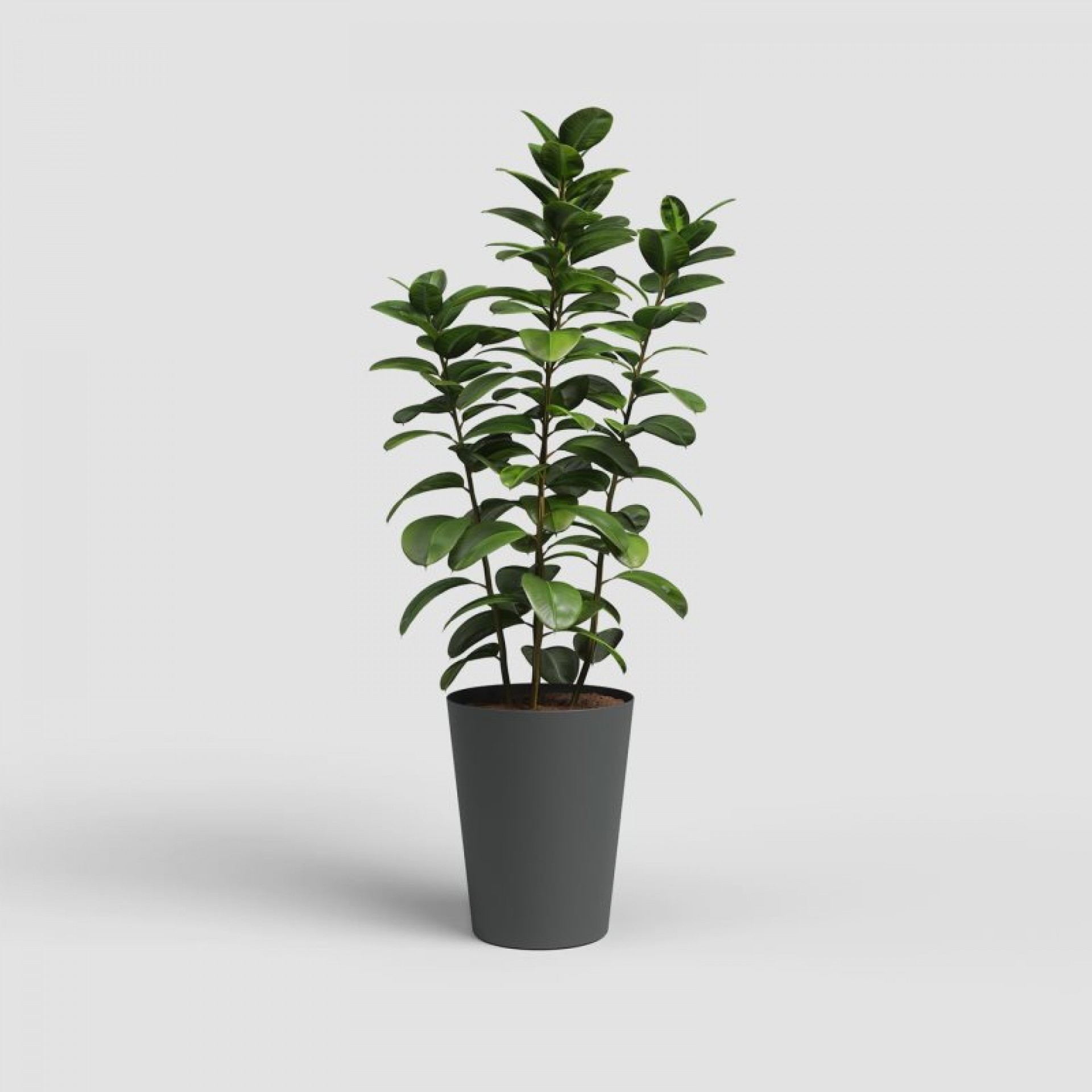 Vaso Porto Alto Antracite 80 CM ARTEVASI