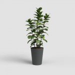 Vaso Porto Alto Antracite 80 CM ARTEVASI Vaso Porto Alto Antracite 80 CM ARTEVASI
