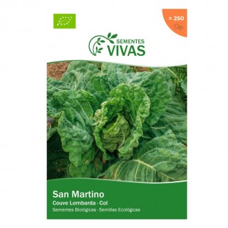 Couve San Martino 1 G SEMENTES VIVAS
