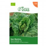 Couve San Martino 1 G SEMENTES VIVAS Couve San Martino 1 G SEMENTES VIVAS