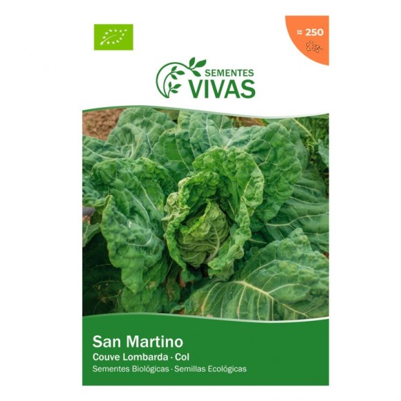 Couve San Martino 1 G SEMENTES VIVAS Couve San Martino 1 G SEMENTES VIVAS