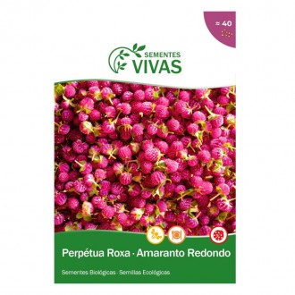 Perp�tua Roxa 0,2 G SEMENTES VIVAS