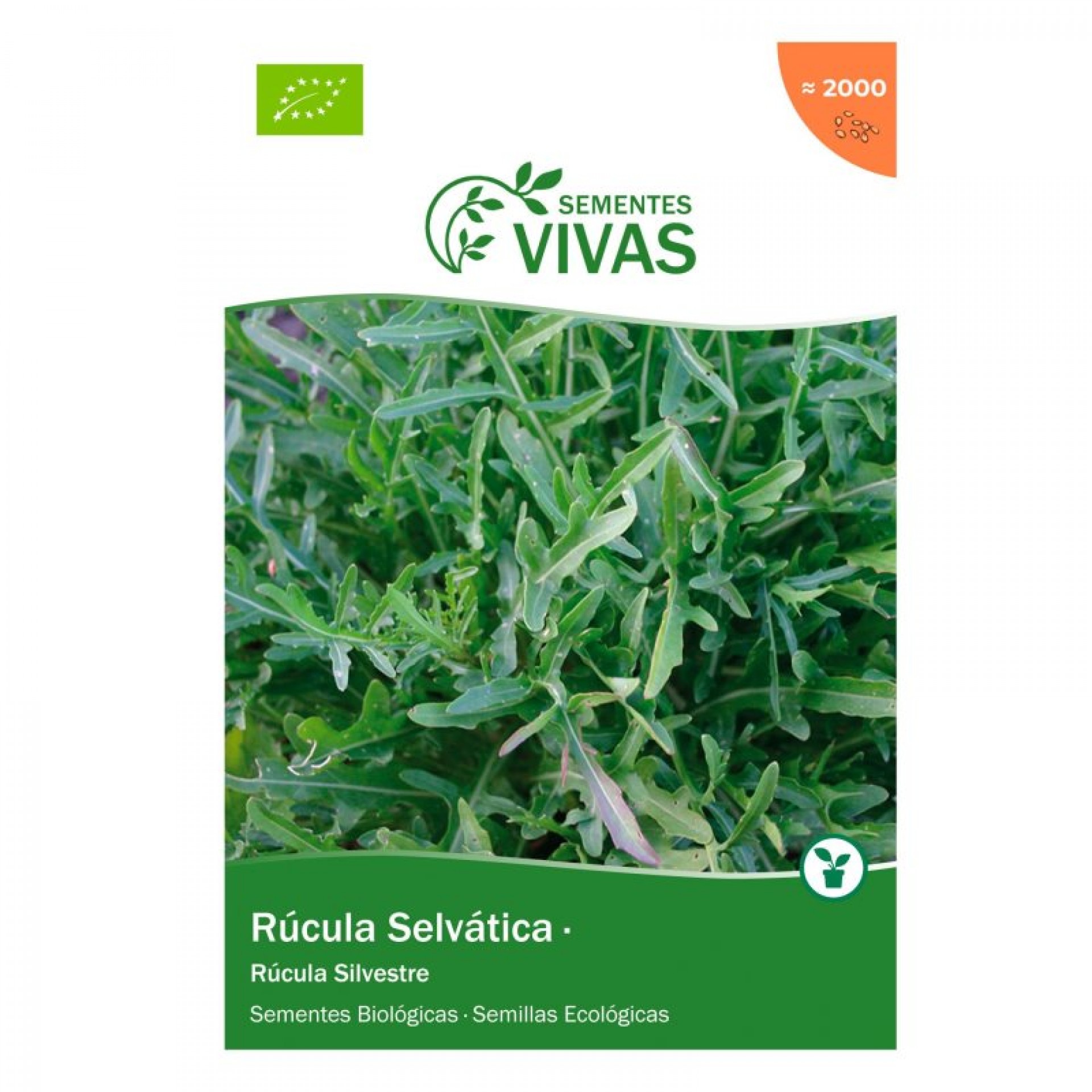 Rúcula Selvática 1 G SEMENTES VIVAS