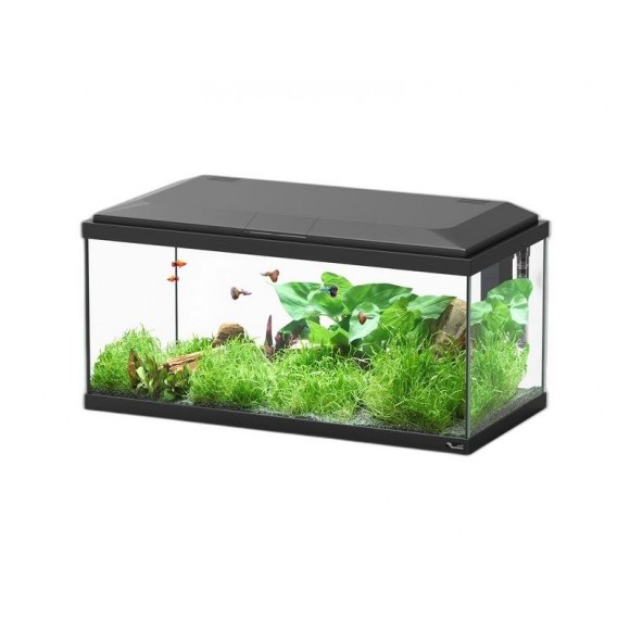 Kit Aquário Explorer Brussels Preto 105 L AQUATLA Kit Aquário Explorer Brussels Preto 105 L AQUATLA