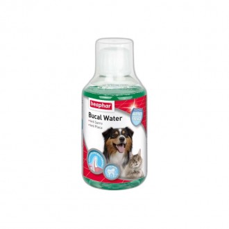 Elíxir Bucal 250 Ml BEAPHAR Elíxir Bucal 250 Ml BEAPHAR