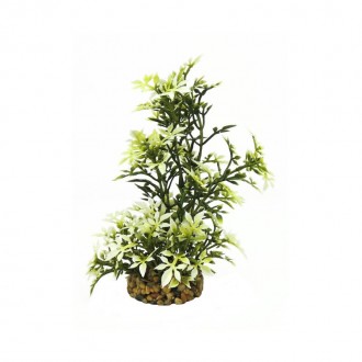 Decora��o Planta Aqu�tica Branca/Verde Escuro CLAS