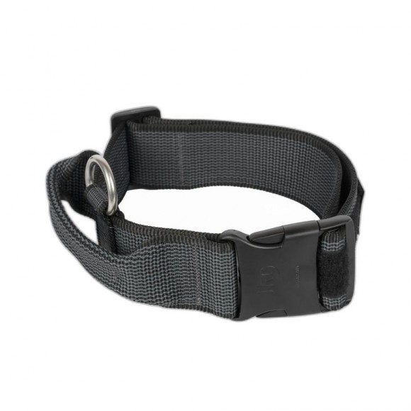 Coleira Cão 50Mm Preta M/L JULIUS-K9 Coleira Cão 50Mm Preta M/L JULIUS-K9