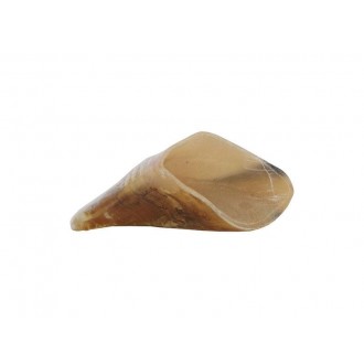 Snack Para Cão Casco Vitela Fumado HOBBIT ALF Snack Para Cão Casco Vitela Fumado HOBBIT ALF