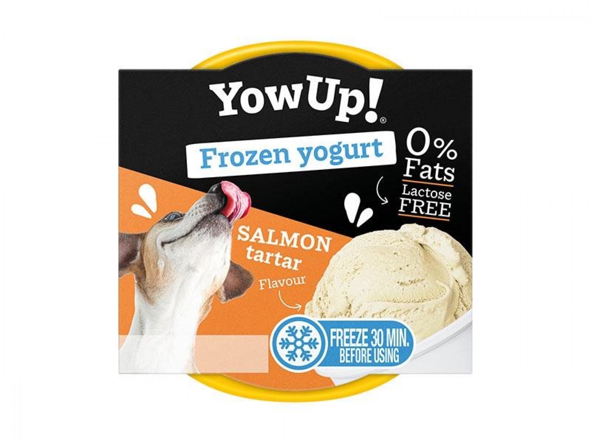 Iogurte Congelado Tártar De Salmão 110 G YOWUP