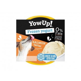 Iogurte Congelado T�rtar De Salm�o 110 G YOWUP
