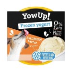 Iogurte Congelado T�rtar De Salm�o 110 G YOWUP