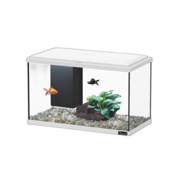 Aquario Explorer Lisbon Led Branco 22 L AQUATLANTI Aquario Explorer Lisbon Led Branco 22 L AQUATLANTI